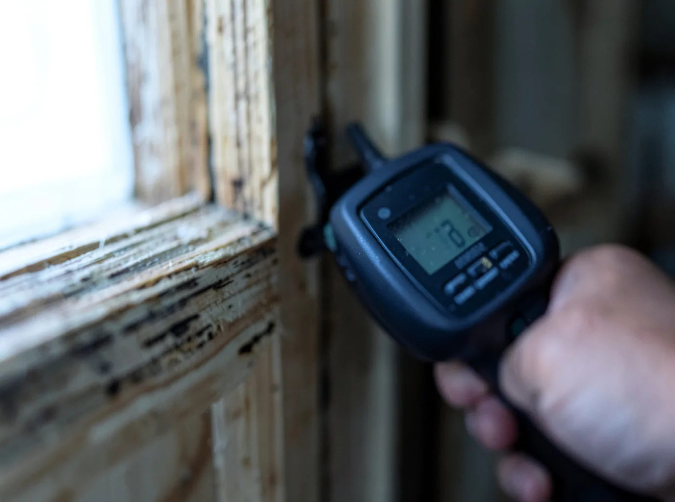 Moisture Inspection And Documentation in Moreauville, LA